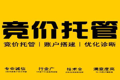 百度优化推广案例：打造行业领先品牌